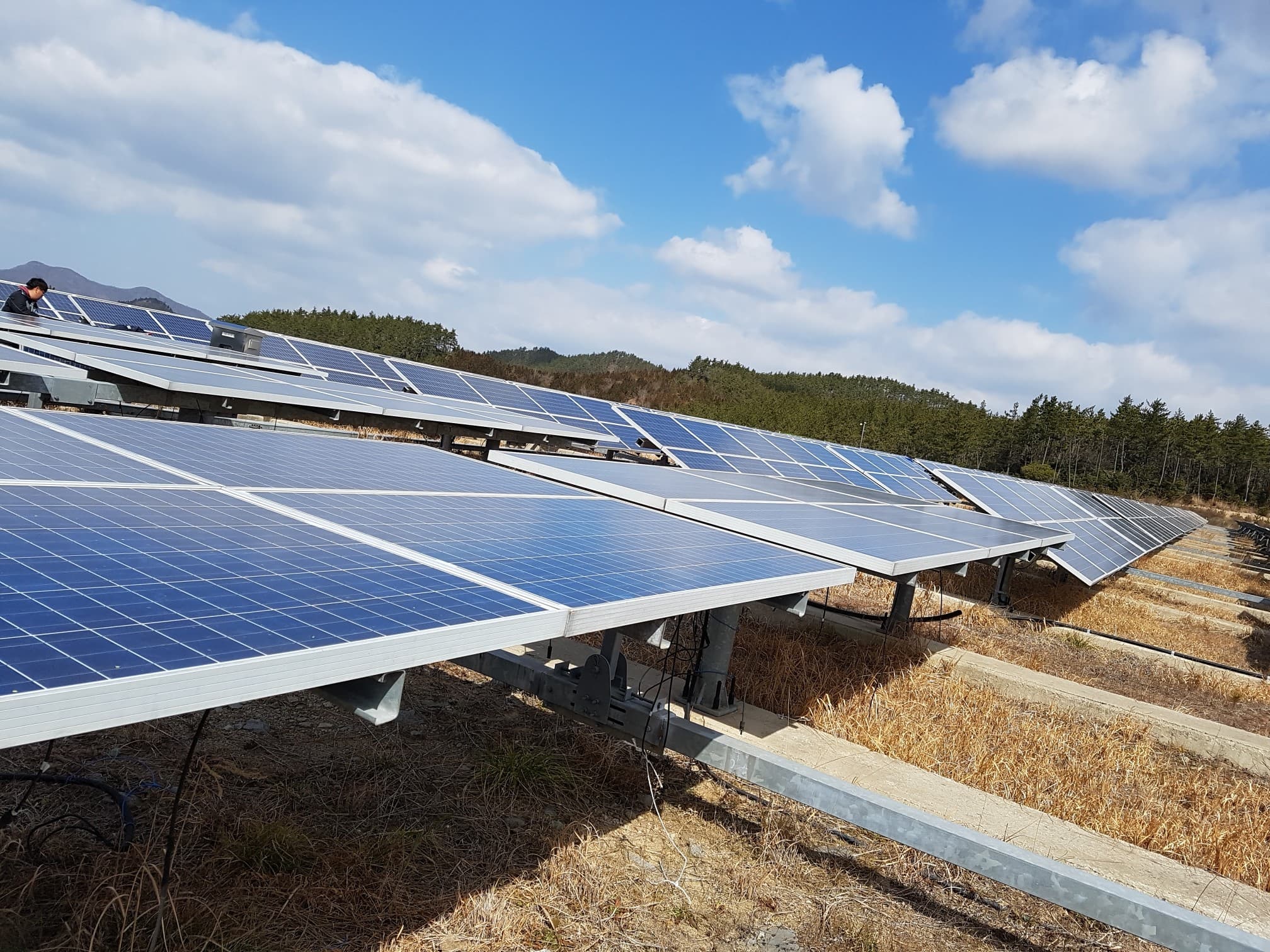Solar Module_ solar sell_ solar panel